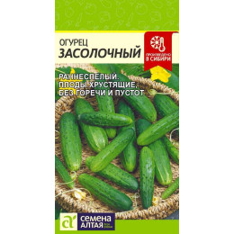 Огурец Засолочный/Агрофирма 'Семена Алтая'/семена упакованы в цветном пакете 0,5 гр.