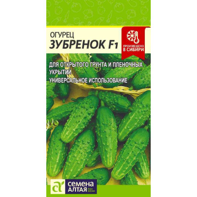 Огурец Зубренок F1/Агрофирма 'Семена Алтая'/семена упакованы в цветном пакете 0,3 гр.
