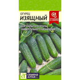 Огурец Изящный/Агрофирма 'Семена Алтая'/семена упакованы в цветном пакете 0,5 гр.