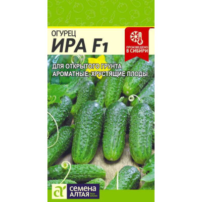 Огурец Ира F1/Агрофирма 'Семена Алтая'/семена упакованы в цветном пакете 10 шт.