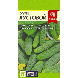 Огурец Кустовой/Агрофирма 'Семена Алтая'/семена упакованы в цветном пакете 0,5 гр.