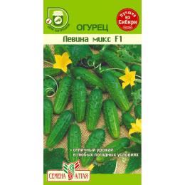 Огурец Левина Микс F1/Агрофирма 'Семена Алтая'/семена упакованы в цветном пакете 0,3 гр.