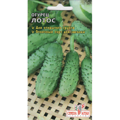 Огурец Лотос/Агрофирма 'Семена Алтая'/семена упакованы в цветном пакете 0,5 гр.