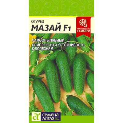 Огурец Мазай F1/Агрофирма 'Семена Алтая'/семена упакованы в цветном пакете 5 шт.
