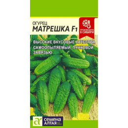 Огурец Матрешка F1/Агрофирма 'Семена Алтая'/семена упакованы в цветном пакете 5 шт.