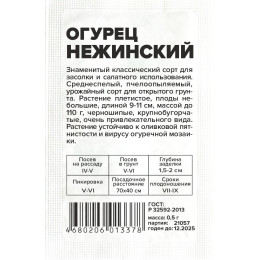 Огурец Нежинский/Агрофирма 'Семена Алтая'/семена упакованы в белом пакете 0,5 гр.