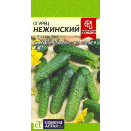 Огурец Нежинский/Агрофирма 'Семена Алтая'/семена упакованы в цветном пакете 0,5 гр.