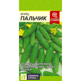 Огурец Пальчик/Агрофирма 'Семена Алтая'/семена упакованы в цветном пакете 0,5 гр.