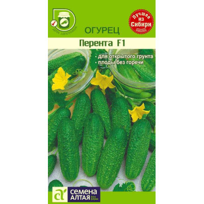 Огурец Перента F1/Агрофирма 'Семена Алтая'/семена упакованы в цветном пакете 10 шт.
