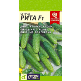 Огурец Рита F1/Агрофирма 'Семена Алтая'/семена упакованы в цветном пакете 10 шт.