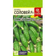 Огурец Соловей F1/Агрофирма 'Семена Алтая'/семена упакованы в цветном пакете 0,3 гр.