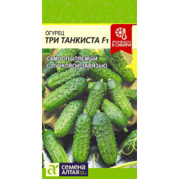 Огурец Три Танкиста F1/Агрофирма 'Семена Алтая'/семена упакованы в цветном пакете 5 шт.