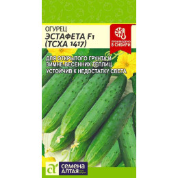 Огурец Эстафета (ТСХА 1417) F1/Агрофирма 'Семена Алтая'/семена упакованы в цветном пакете 5 шт.