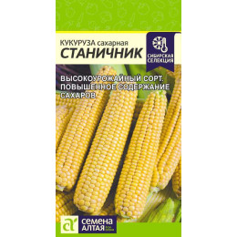 Кукуруза Станичник/Агрофирма 'Семена Алтая'/семена упакованы в цветном пакете 3 гр.