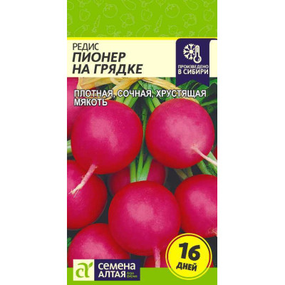 Редис Пионер на Грядке (16 дней)/Агрофирма 'Семена Алтая'/семена упакованы в цветном пакете 2 гр.