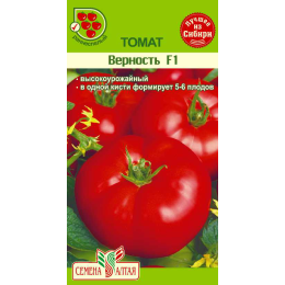 Томат Верность F1/Агрофирма 'Семена Алтая'/семена упакованы в цветном пакете 15 шт.
