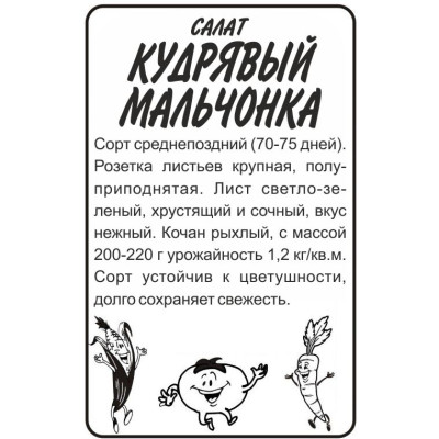 Зелень Салат Кудрявый Мальчонка/Агрофирма 'Семена Алтая'/семена упакованы в белом пакете 0,5 гр.