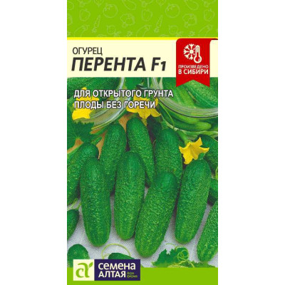 Огурец Перента F1/Агрофирма 'Семена Алтая'/семена упакованы в цветном пакете 0,3 гр.