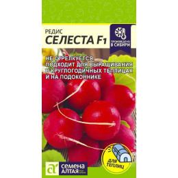 Редис Селеста/Агрофирма 'Семена Алтая'/семена упакованы в цветном пакете 1 гр.
