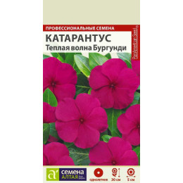 Цветы Катарантус Теплая волна Бургунди/Агрофирма 'Семена Алтая'/семена упакованы в цветном пакете 7 шт. НОВИНКА