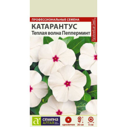 Цветы Катарантус Теплая волна Пеперминт/Агрофирма 'Семена Алтая'/семена упакованы в цветном пакете 7 шт. НОВИНКА