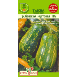 Тыква Грибовская Кустовая 189/Агрофирма 'Семена Алтая'/семена упакованы в цветном пакете 2 гр.