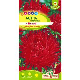 Цветы Астра Ангора коготковая/Агрофирма 'Семена Алтая'/семена упакованы в цветном пакете 0,2 гр.