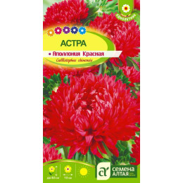 Цветы Астра Аполлония Красная/Агрофирма 'Семена Алтая'/семена упакованы в цветном пакете 0,2 гр.
