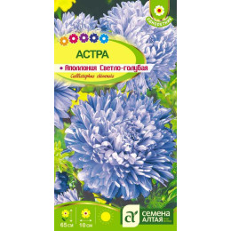 Цветы Астра Аполлония Светло-голубая/Агрофирма 'Семена Алтая'/семена упакованы в цветном пакете 0,2 гр.