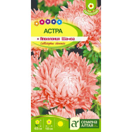 Цветы Астра Аполлония Шамоа/Агрофирма 'Семена Алтая'/семена упакованы в цветном пакете 0,2 гр.