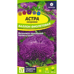 Цветы Астра Баллон Фиолетовая/Агрофирма 'Семена Алтая'/семена упакованы в цветном пакете 0,1 гр.