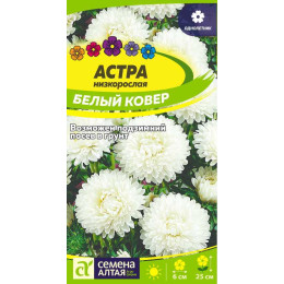 Цветы Астра Белый Ковер низкорослая/Агрофирма 'Семена Алтая'/семена упакованы в цветном пакете 0,2 гр.