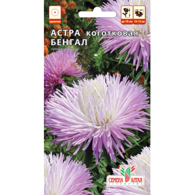 Цветы Астра Бенгал коготковая /Агрофирма 'Семена Алтая'/семена упакованы в цветном пакете 0,2 гр.
