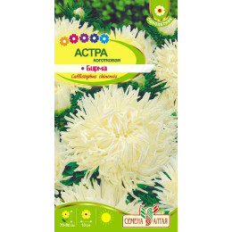 Цветы Астра Бирма коготковая/Агрофирма 'Семена Алтая'/семена упакованы в цветном пакете 0,2 гр.