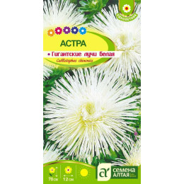 Цветы Астра Гигантские лучи Белая/Агрофирма 'Семена Алтая'/семена упакованы в цветном пакете 0,2 гр.