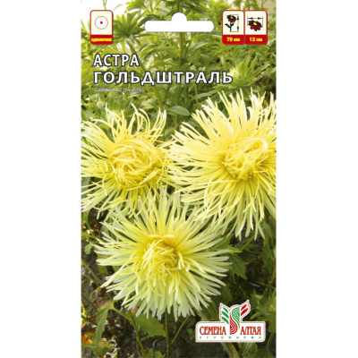 Цветы Астра Гольдштраль/Агрофирма 'Семена Алтая'/семена упакованы в цветном пакете 0,2 гр.