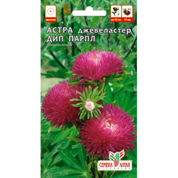 Цветы Астра Джевеластер Дип Парпл/Агрофирма 'Семена Алтая'/семена упакованы в цветном пакете 0,2 гр.