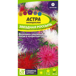 Цветы Астра Звездная Россыпь/Агрофирма 'Семена Алтая'/семена упакованы в цветном пакете 0,2 гр.