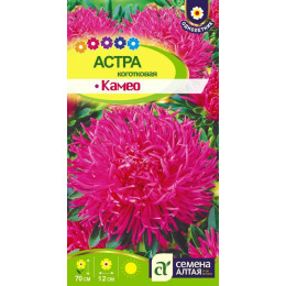 Цветы Астра Камео коготковая/Агрофирма 'Семена Алтая'/семена упакованы в цветном пакете 0,3 гр.