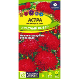 Цветы Астра Красный ковер низкорослая/Агрофирма 'Семена Алтая'/семена упакованы в цветном пакете 0,2 гр.