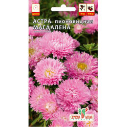 Цветы Астра Магдалена пионовидная/Агрофирма 'Семена Алтая'/семена упакованы в цветном пакете 0,2 гр.