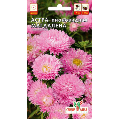 Цветы Астра Магдалена пионовидная/Агрофирма 'Семена Алтая'/семена упакованы в цветном пакете 0,2 гр.