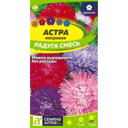 Цветы Астра Махровая Радуга смесь/Агрофирма 'Семена Алтая'/семена упакованы в цветном пакете 0,1 гр.
