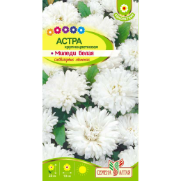Цветы Астра Миледи Белая/Агрофирма 'Семена Алтая'/семена упакованы в цветном пакете 0,2 гр.