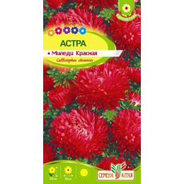 Цветы Астра Миледи Красная/Агрофирма 'Семена Алтая'/семена упакованы в цветном пакете 0,2 гр.