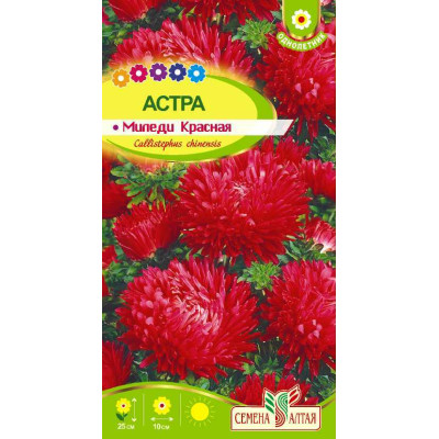 Цветы Астра Миледи Красная/Агрофирма 'Семена Алтая'/семена упакованы в цветном пакете 0,2 гр.