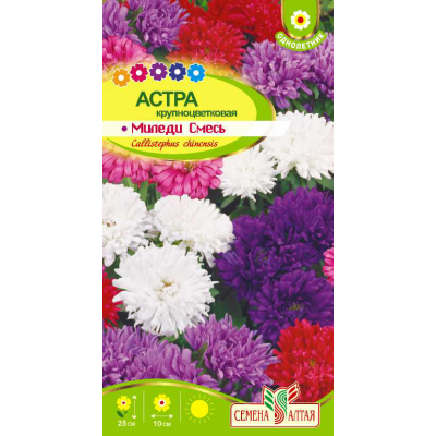 Цветы Астра Миледи Смесь/Агрофирма 'Семена Алтая'/семена упакованы в цветном пакете 0,2 гр.