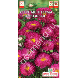 Цветы Астра Монтесума Бело-Розовая/Агрофирма 'Семена Алтая'/семена упакованы в цветном пакете 0,15 гр.
