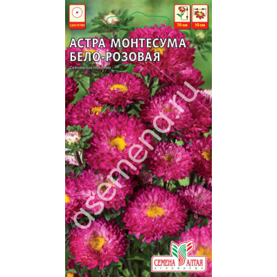 Цветы Астра Монтесума Бело-Розовая/Агрофирма 'Семена Алтая'/семена упакованы в цветном пакете 0,15 гр.