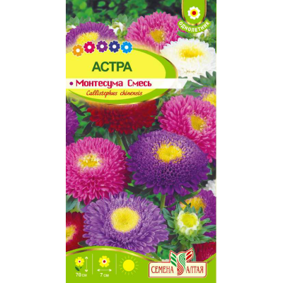 Цветы Астра Монтесума Смесь/Агрофирма 'Семена Алтая'/семена упакованы в цветном пакете 0,15 гр.